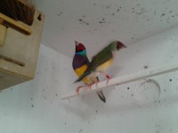 /album/galeria-de-fotos/a2013-02-05-17-06-46-jpg/